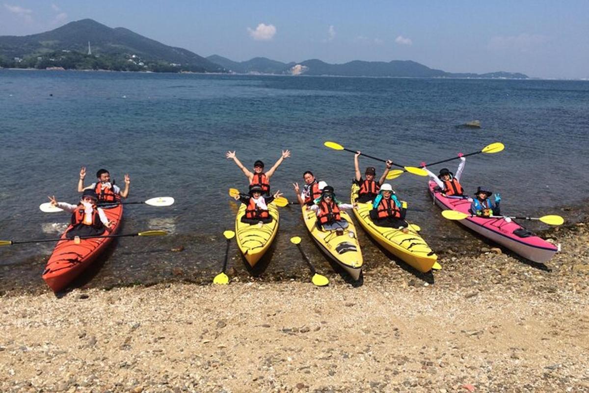 a group of people in kayaks on the beach