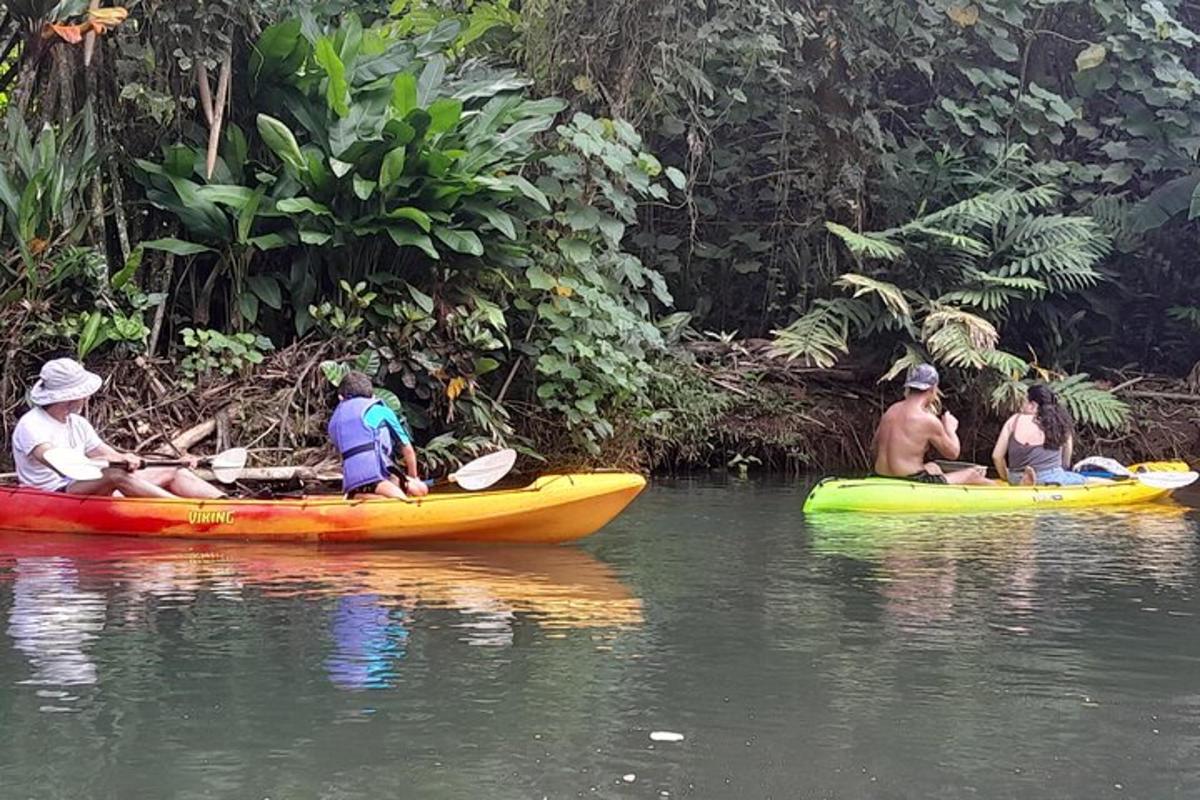 un groupe de personnes en kayak sur une rivière