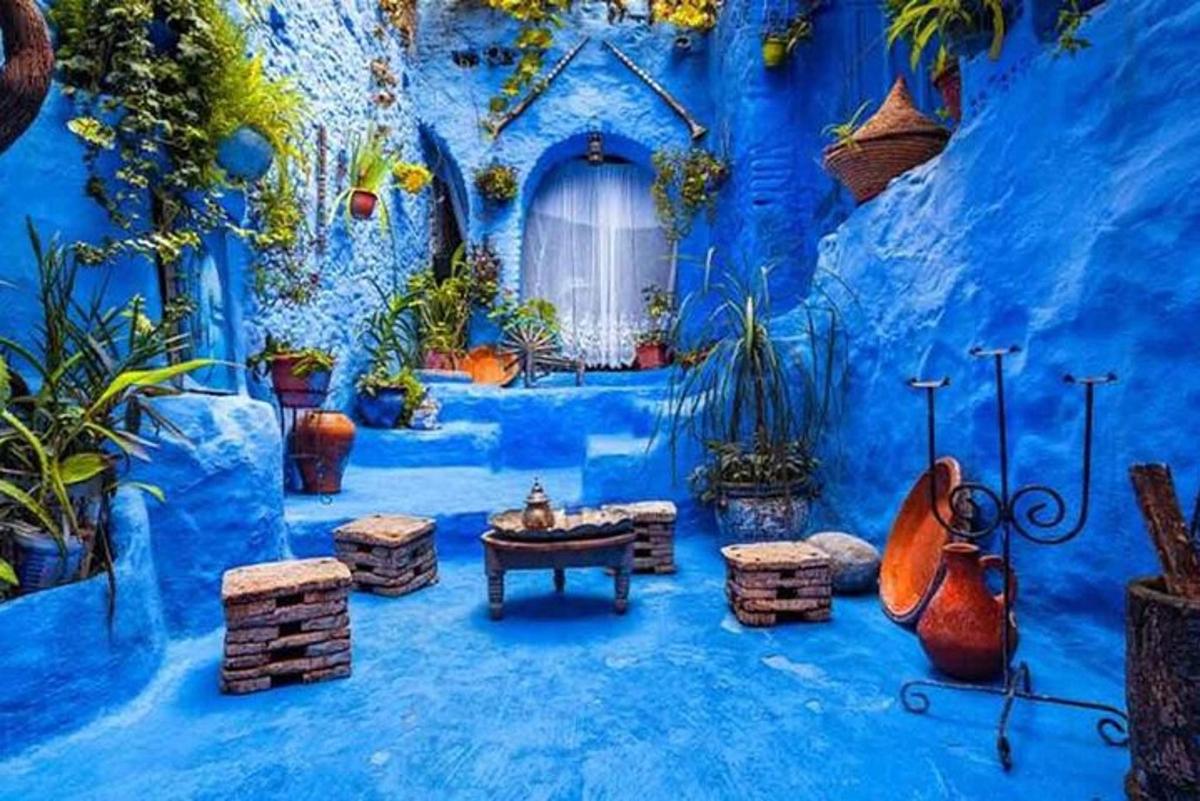 Una habitación azul llena de muchas plantas.