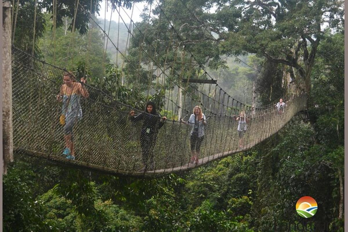um grupo de pessoas caminhando sobre uma ponte suspensa