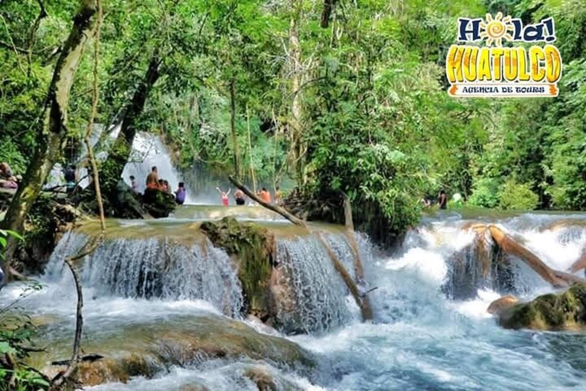 a group of rapids in a river in a forest