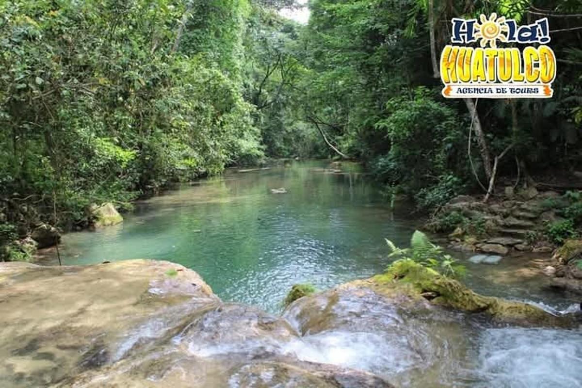 a river in the middle of a forest with a sign