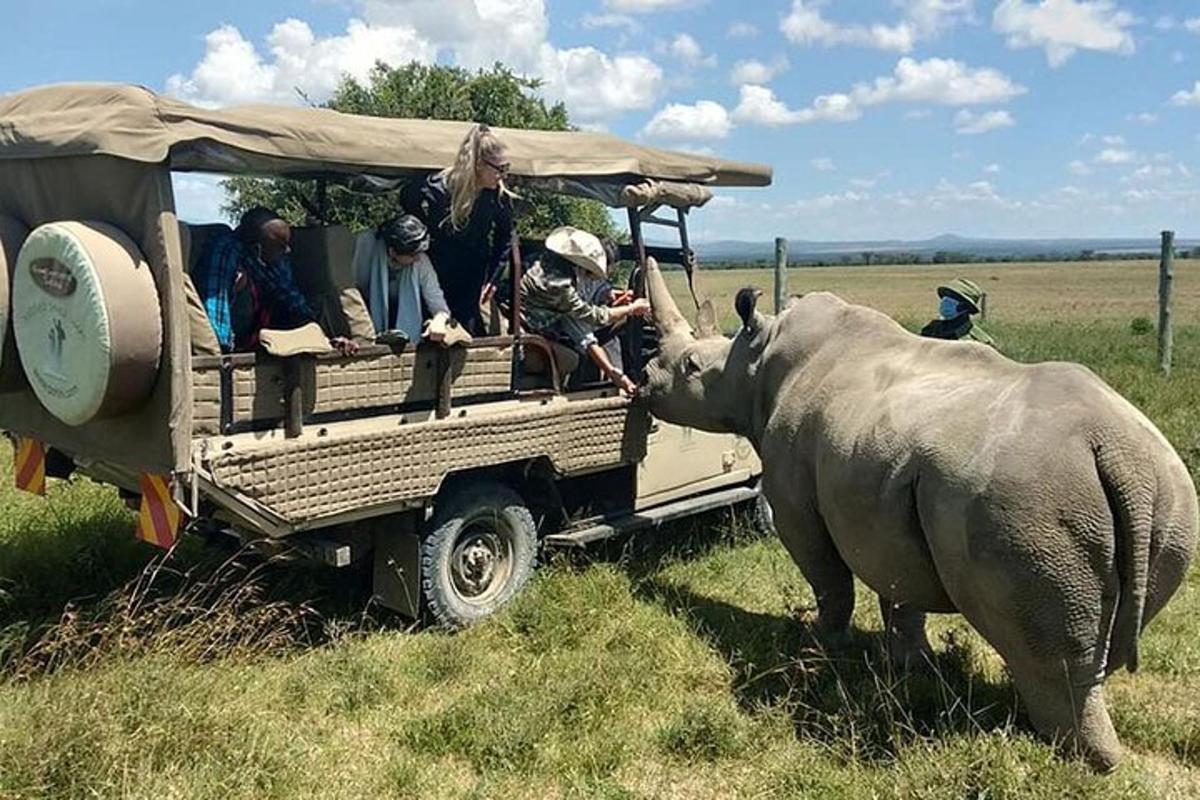 een groep mensen in een safarivoertuig met een neushoorn