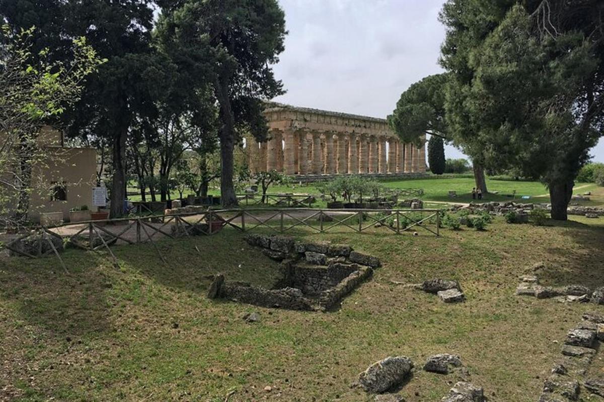 park s budovou, stromy a trávou