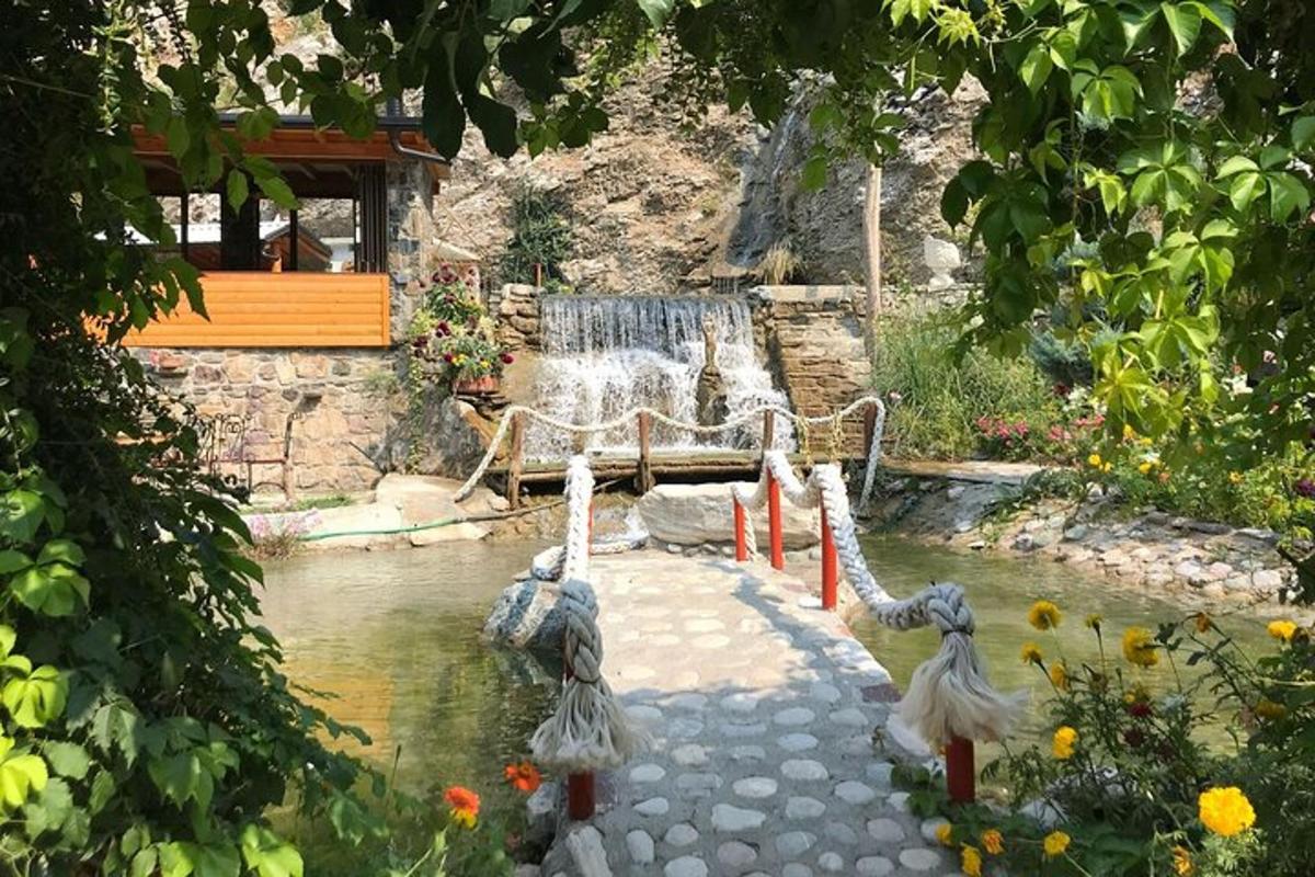 ένας κήπος με ένα σιντριβάνι στη μέση μιας λίμνης