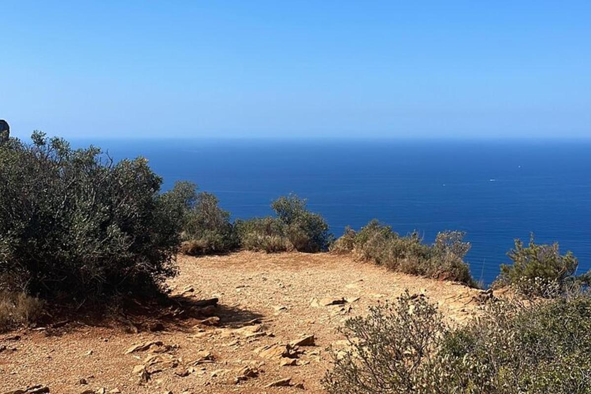 pogled na ocean z vrha hriba