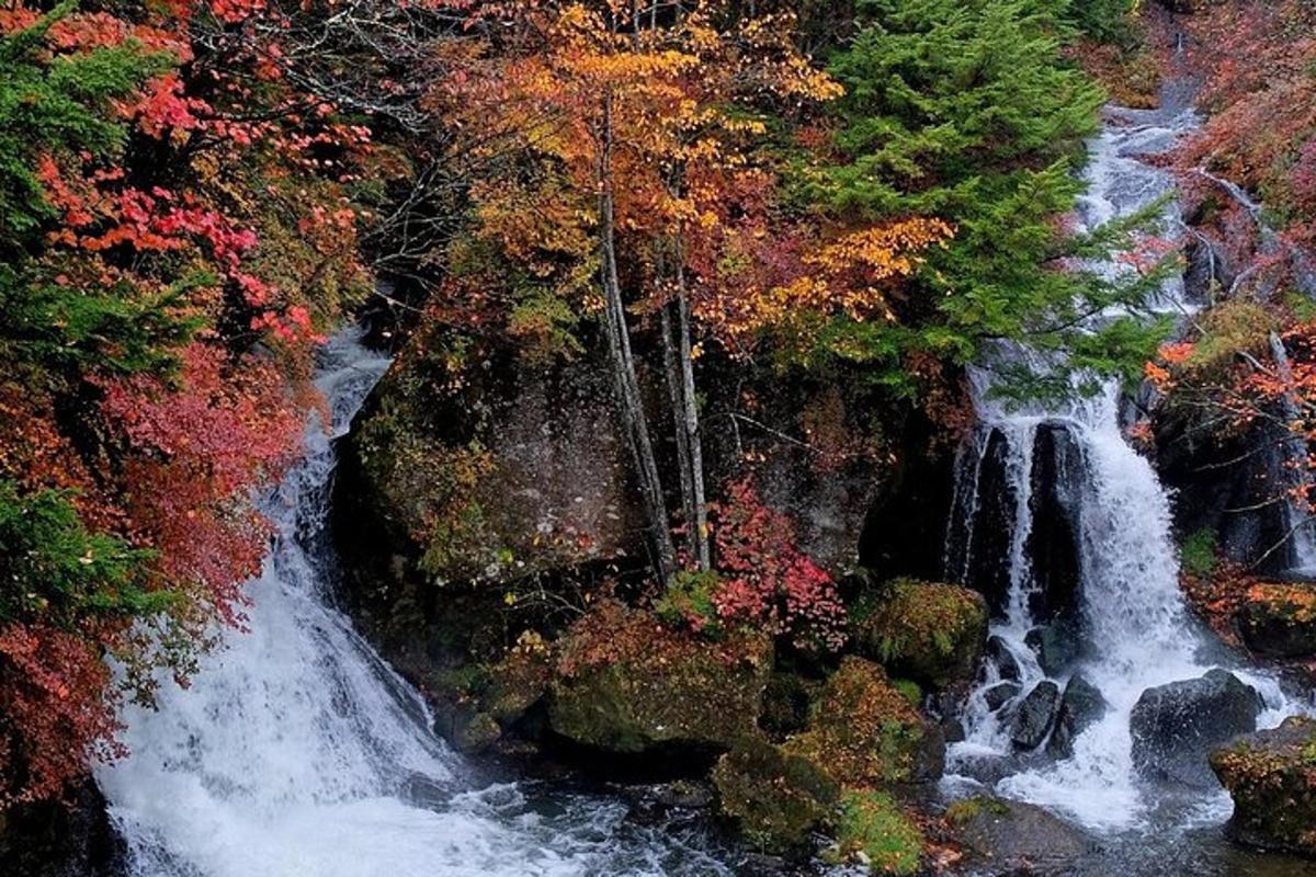 una cascata in mezzo a una foresta