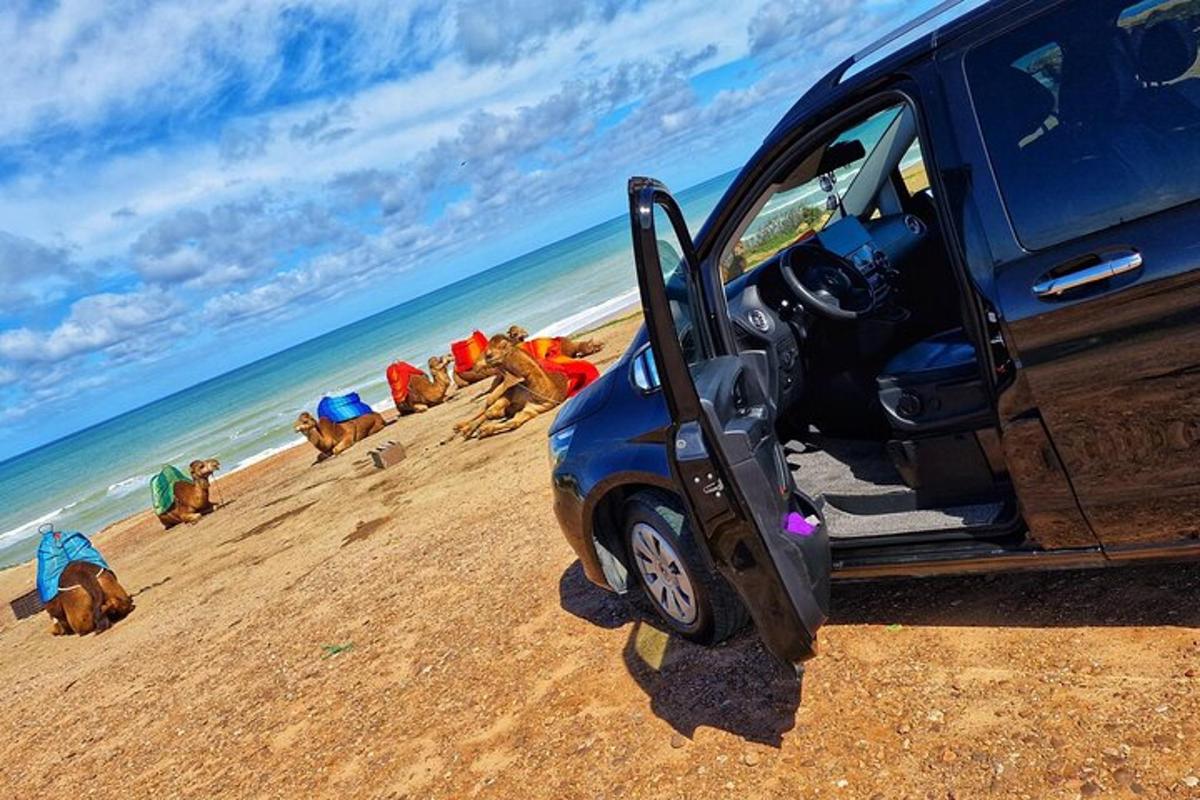 un furgone parcheggiato su una spiaggia con un gruppo di persone