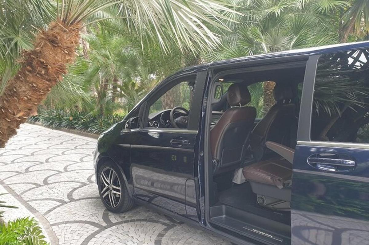 un furgone nero parcheggiato accanto a una palma