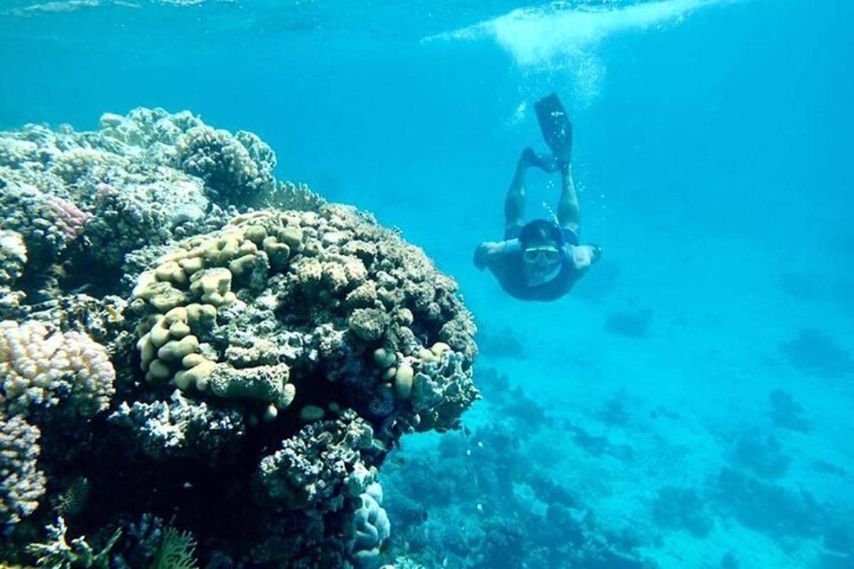 osoba plavající v oceánu poblíž korálového útesu