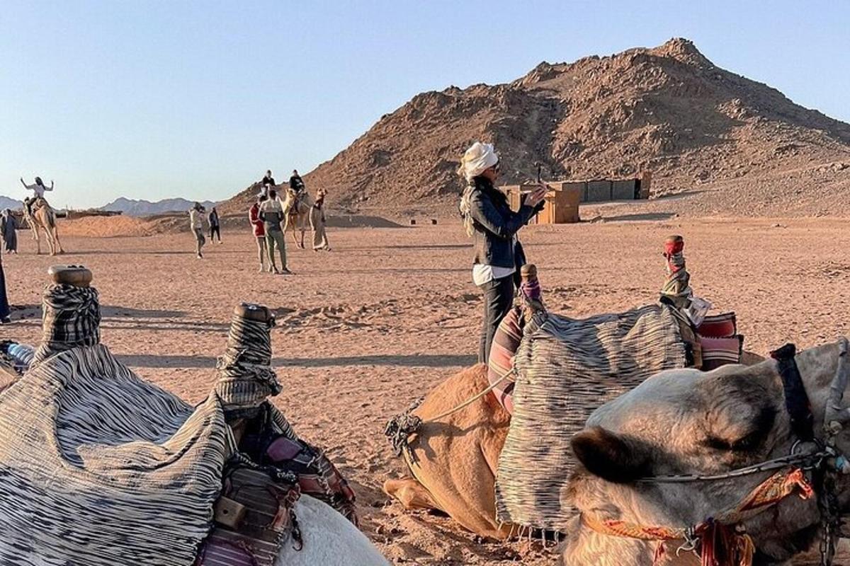 uma pessoa em pé ao lado de um camelo no deserto