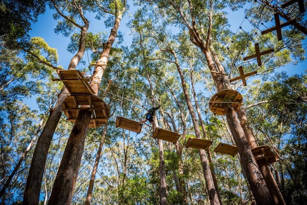 a tree house in the middle of a forest
