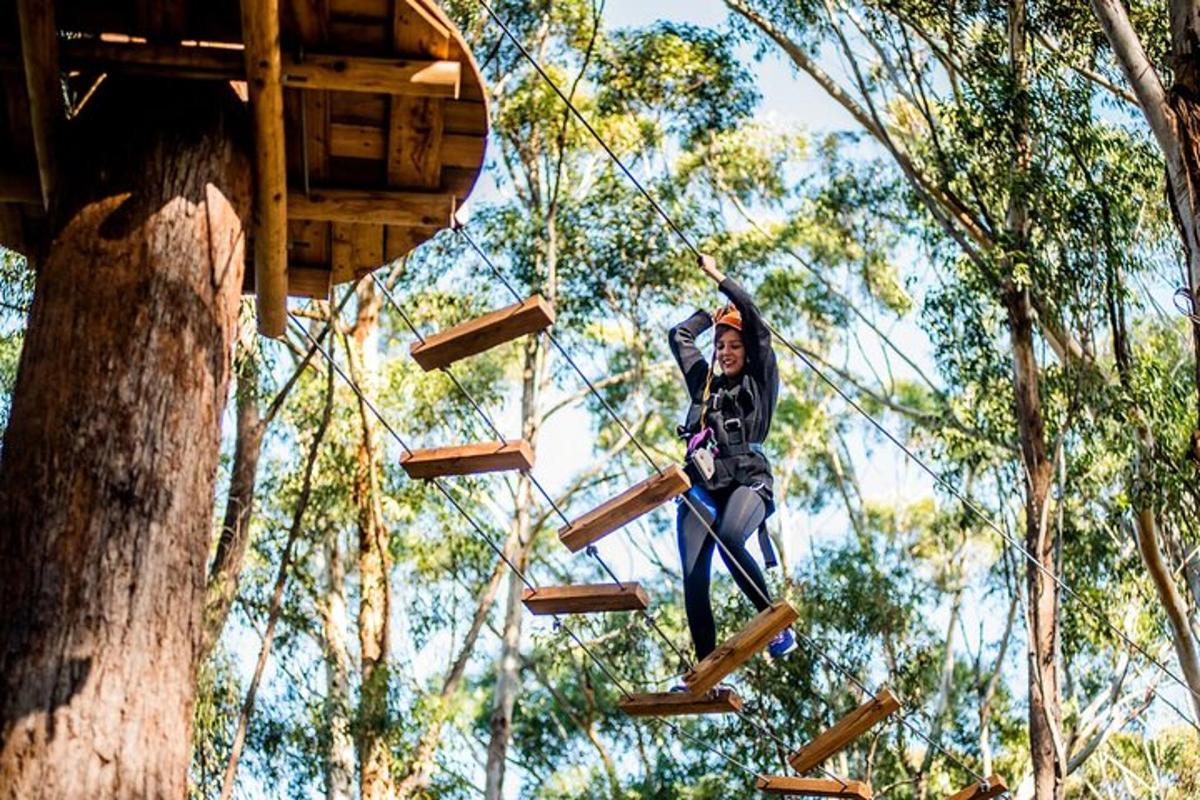 a person on a zip line in the trees