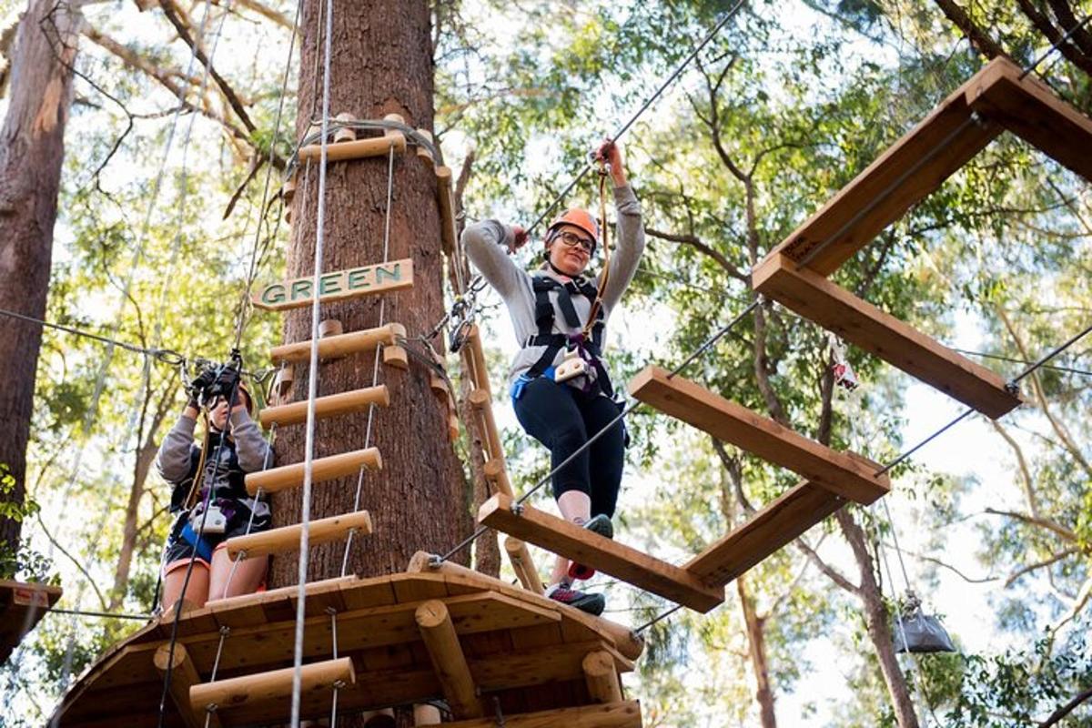 two people on a zip line in the trees
