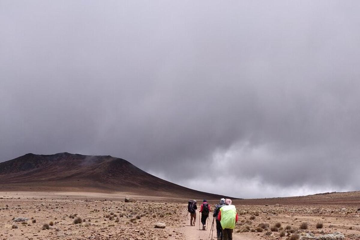 un grup de persones caminant per un camí de terra al desert