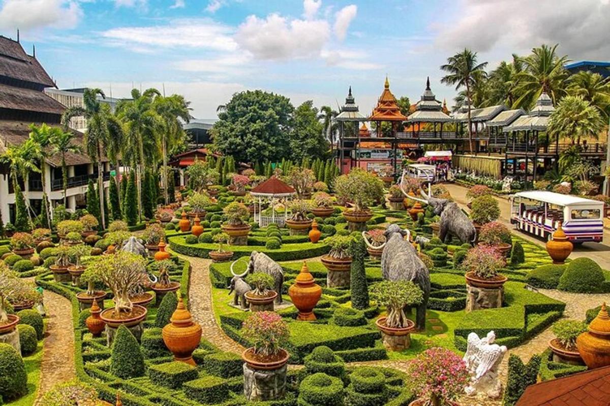 a garden with lots of plants and trees