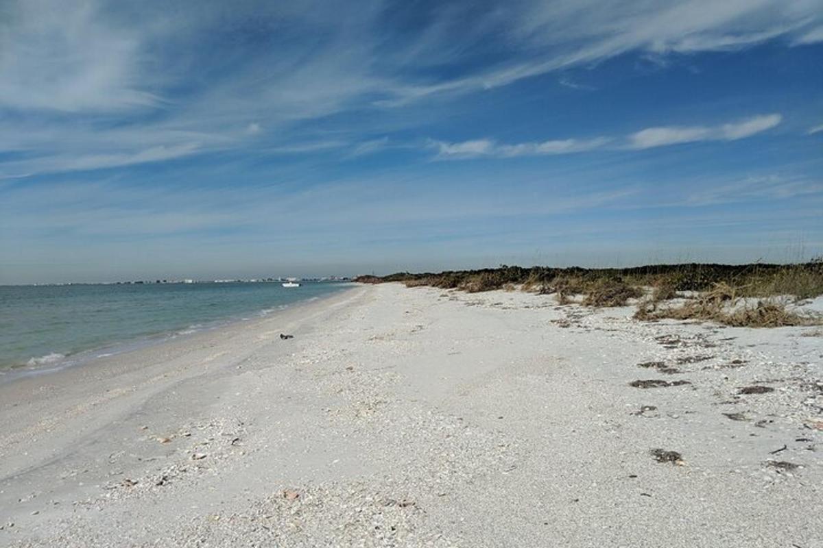 en sandstrand med havet i bakgrunnen