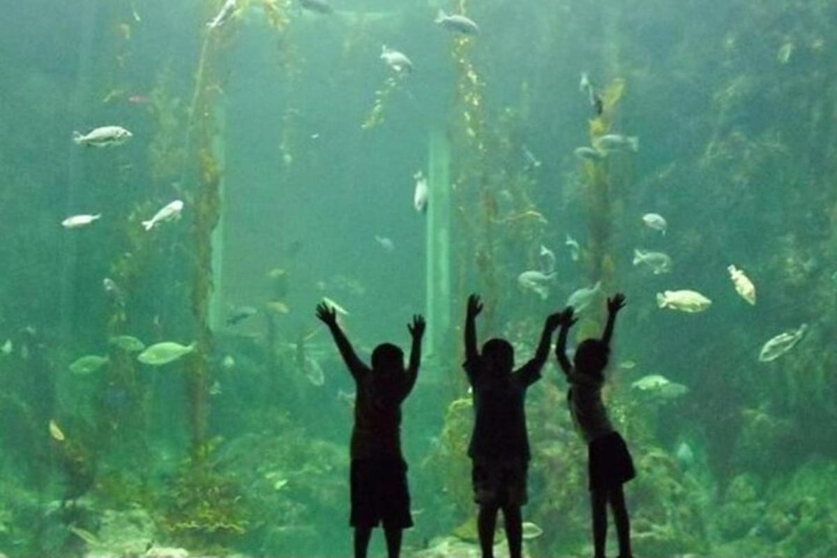 un gruppo di persone in piedi davanti a un acquario