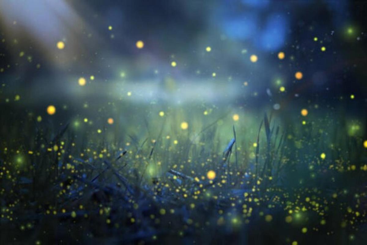 a field of green grass with yellow particles on it
