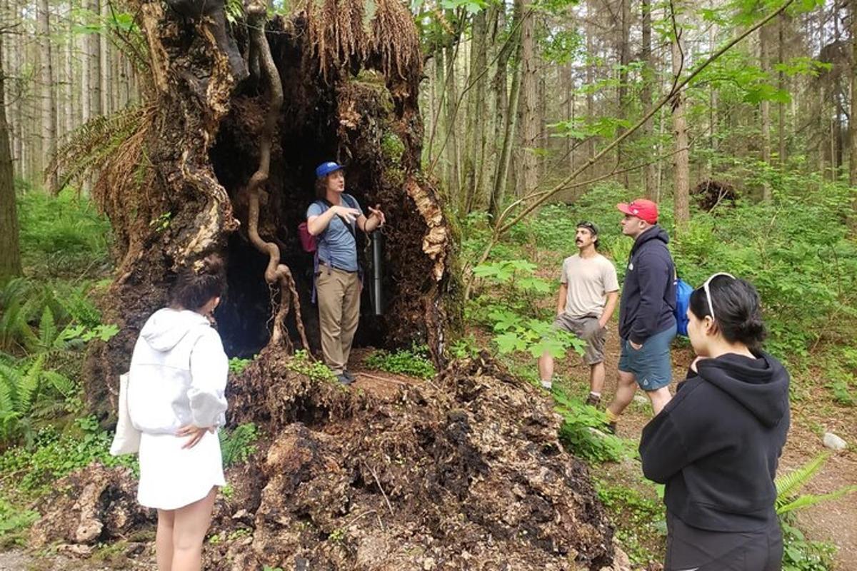 un gruppo di persone in piedi attorno a un albero