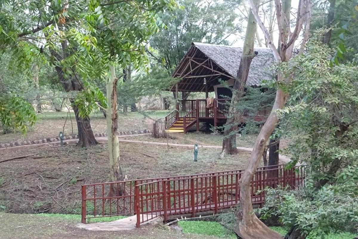 pagar merah di depan kabin di hutan