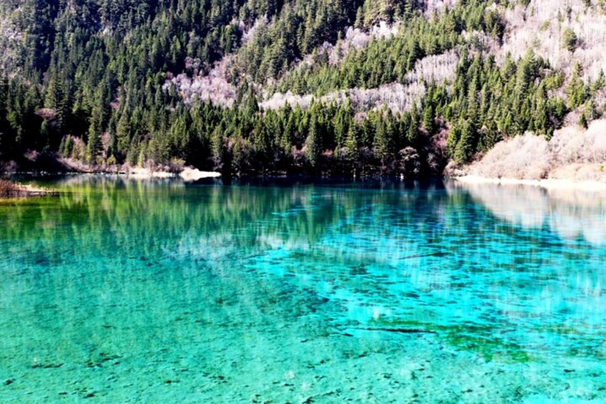 ein blaues Gewässer mit Bäumen im Hintergrund