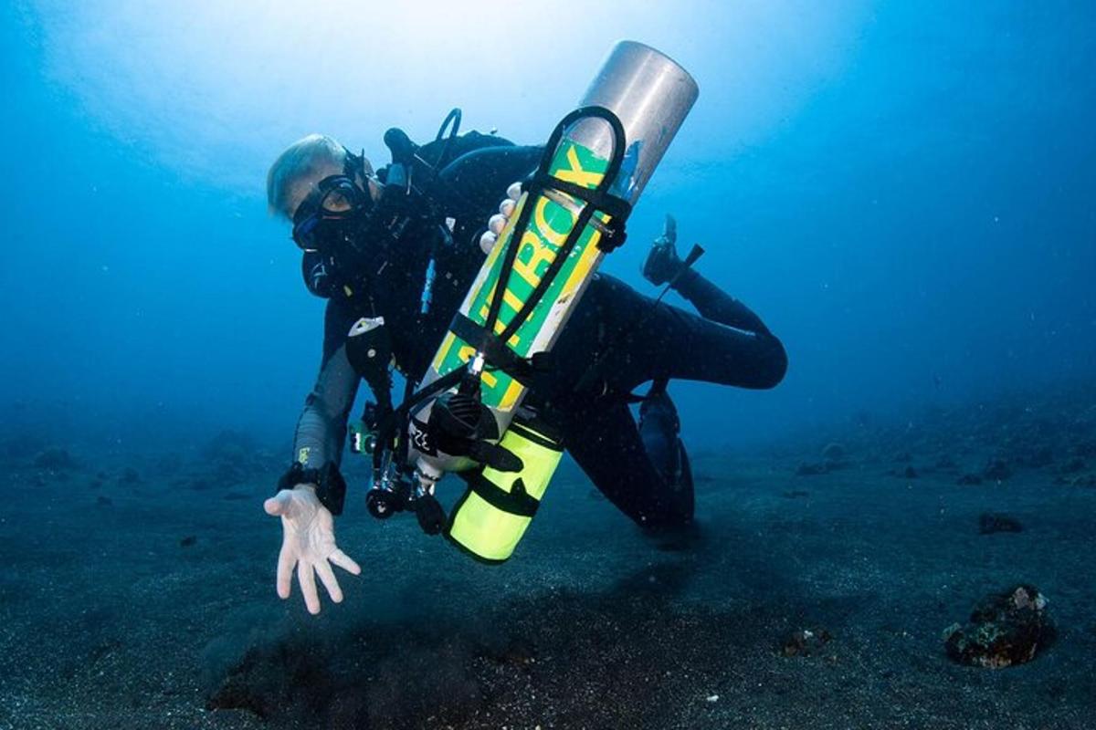 a person in the water holding a snowboard