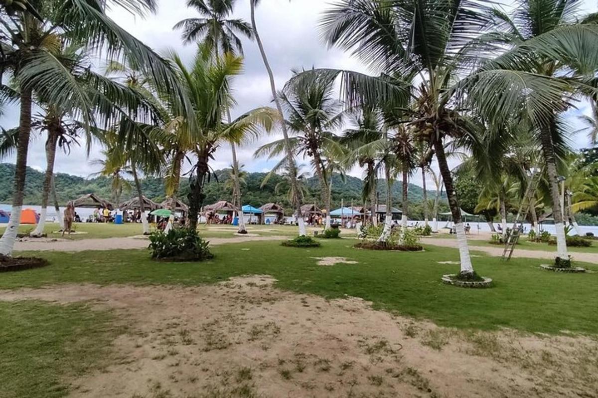 a park with palm trees on a beach
