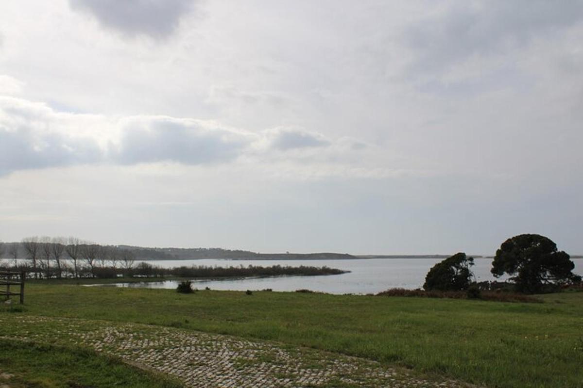 vaade järvele rohumaalt