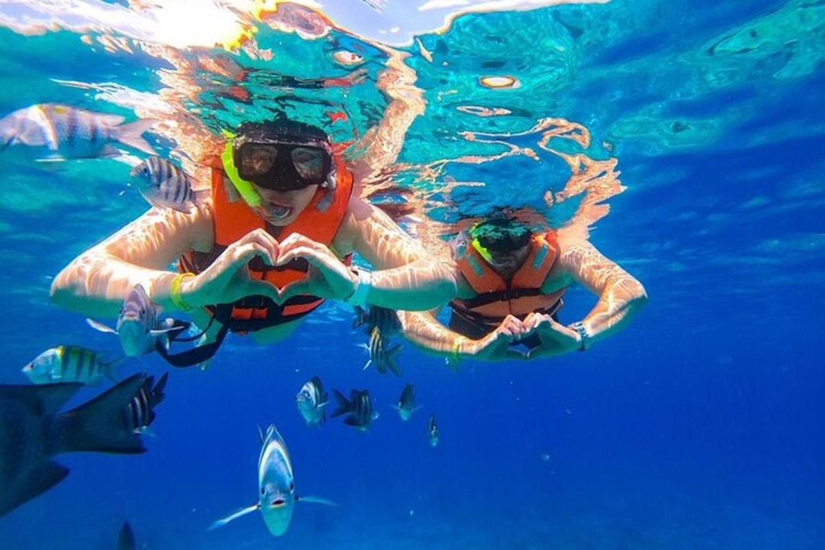 dua orang sedang berenang di dalam air