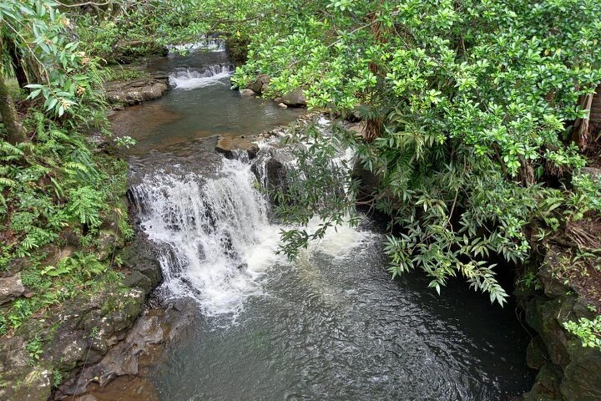 una cascada en medio de un río con árboles
