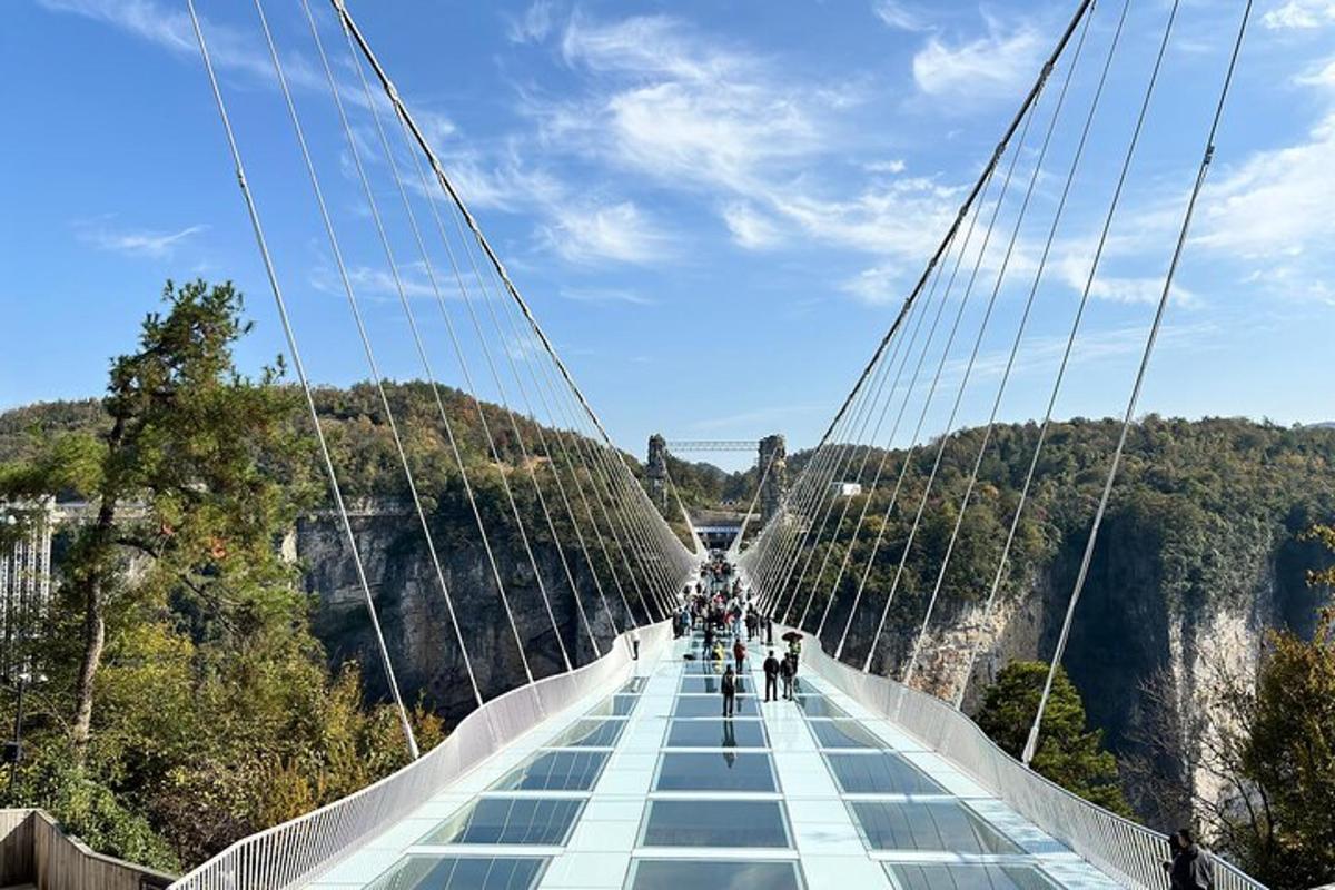 a suspension bridge over a canyon with people on it