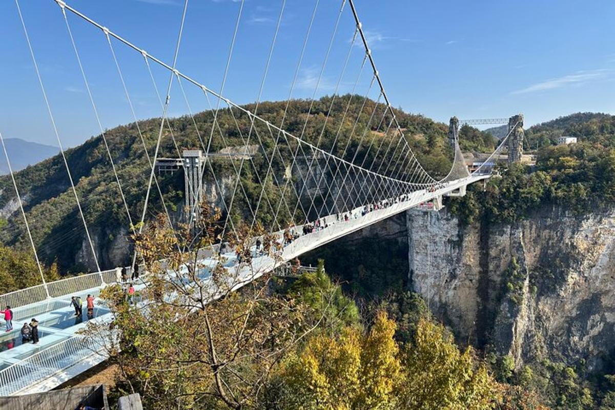 a group of people on a suspension bridge over a mountain