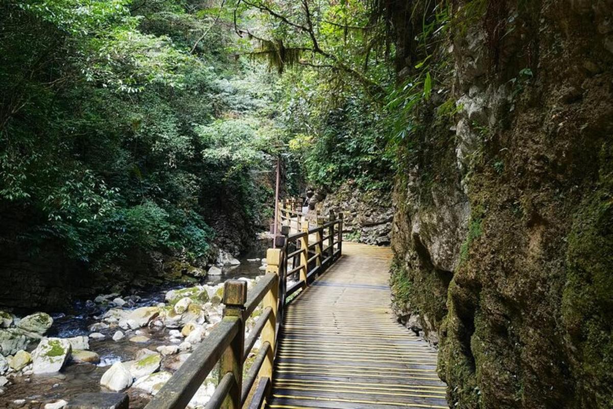 a wooden bridge over a stream in a forest