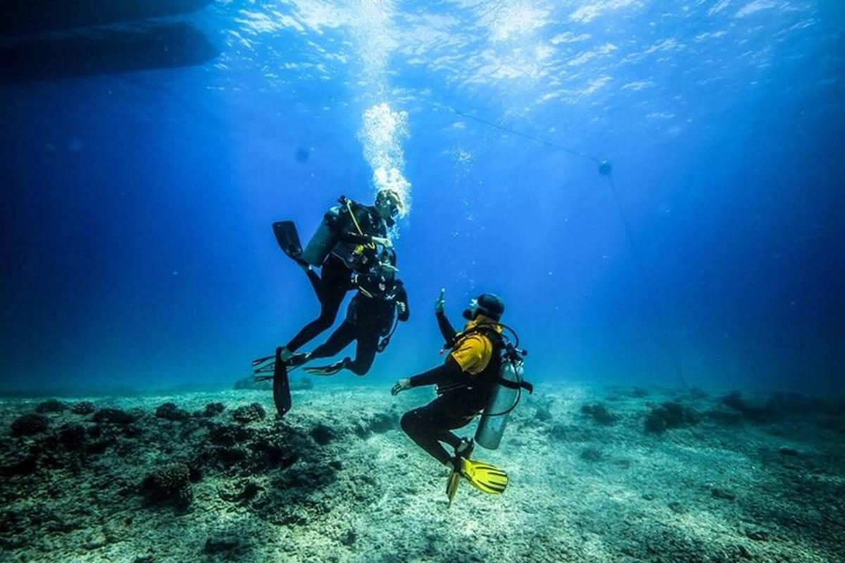 dva človeka se potapljata v oceanu