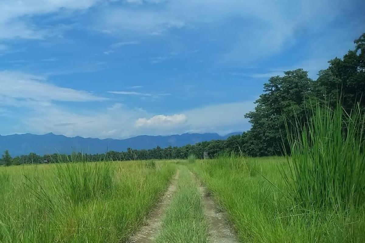 a dirt road in the middle of a field