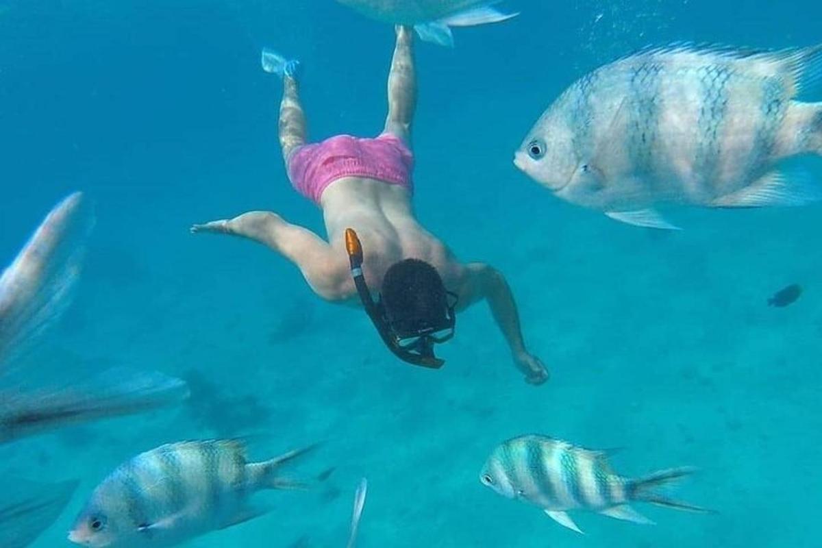 Una mujer nadando en el agua con un grupo de peces.