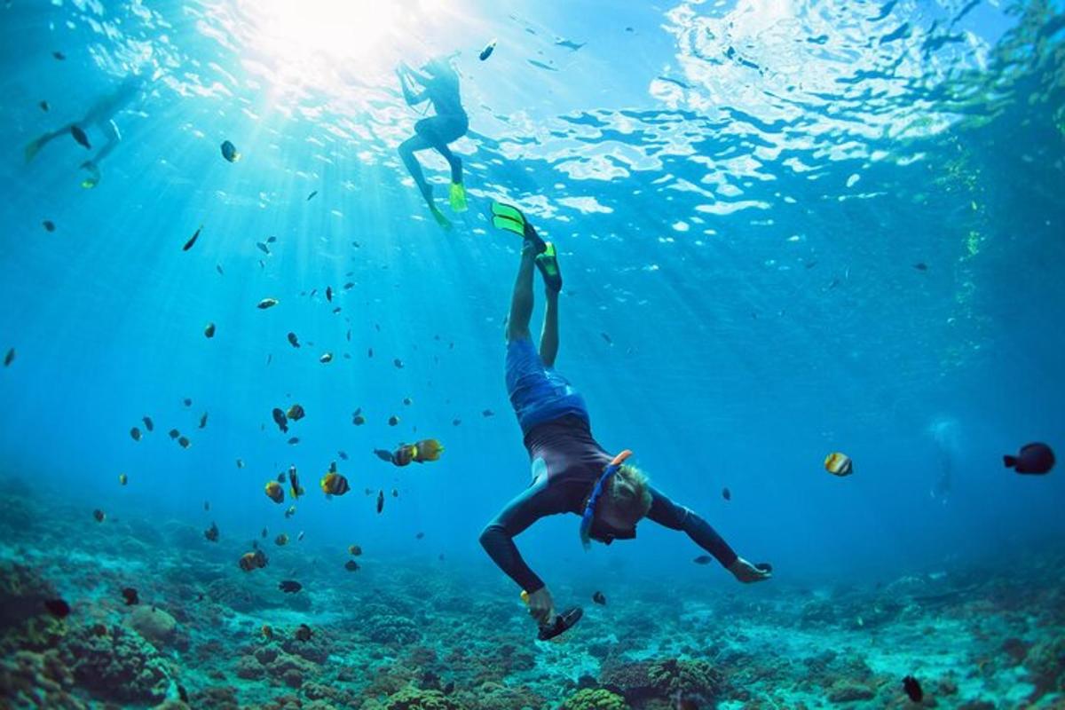 una persona che nuota nell'oceano con i pesci