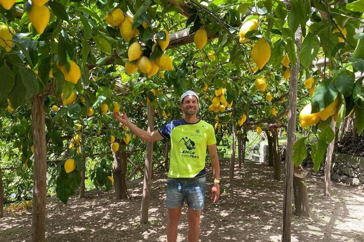 muž stojící před citroníkem