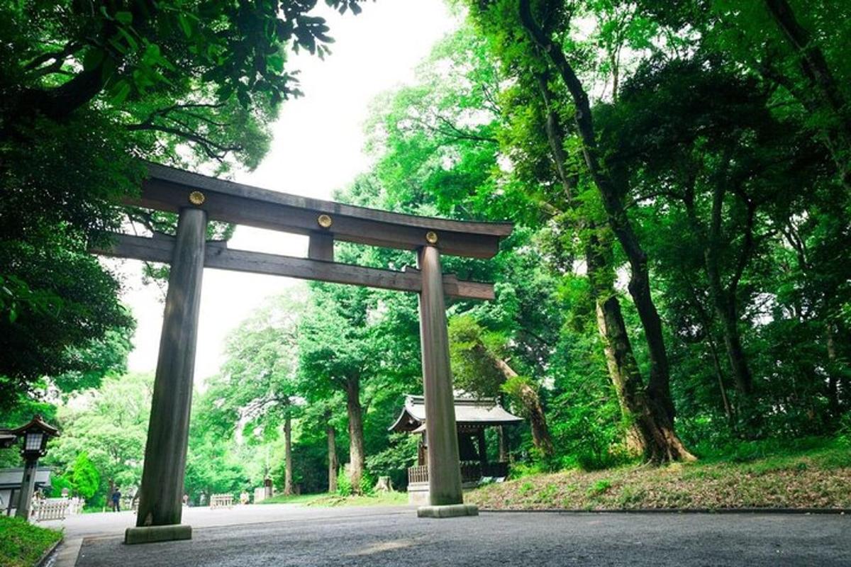 brána torii v parku se stromy
