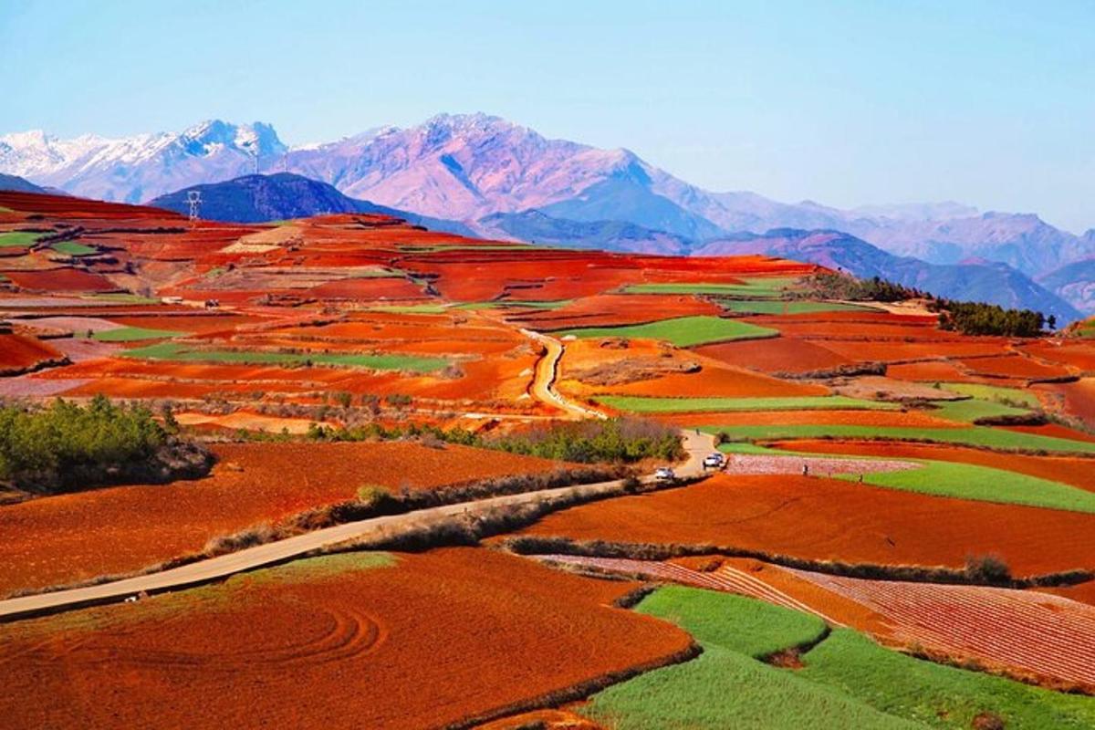 an aerial view of a field with mountains in the background