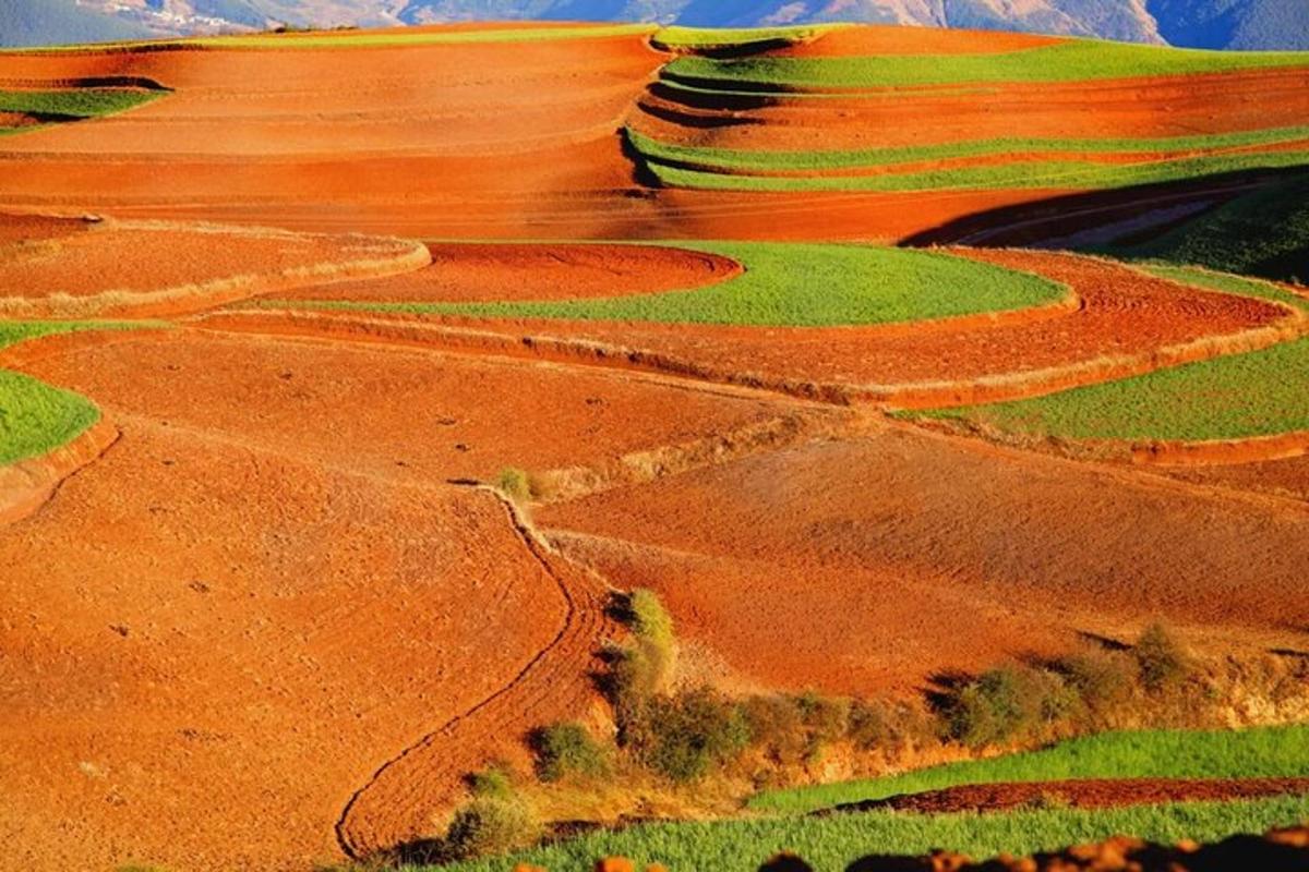 an aerial view of a field with dirt roads