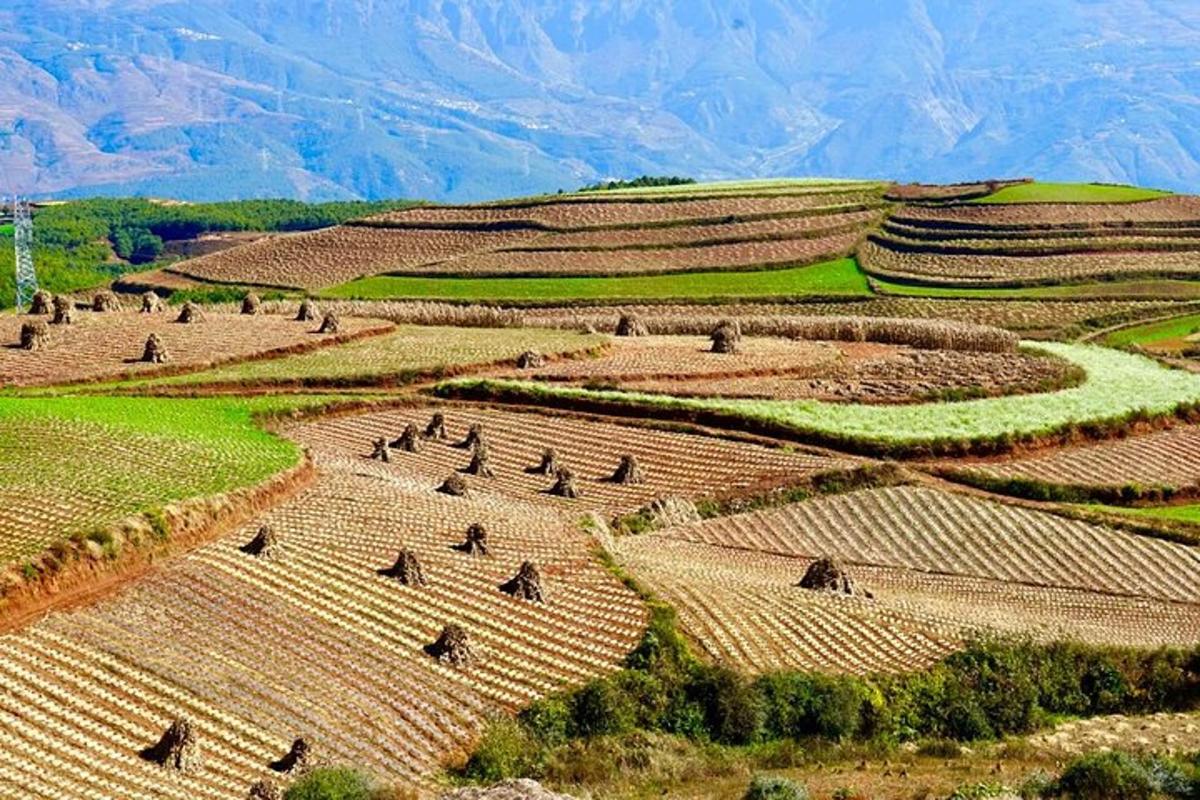 an aerial view of a farm field with mountains in the background