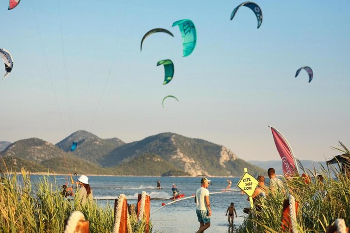 en gruppe mennesker på en strand som flyr drager