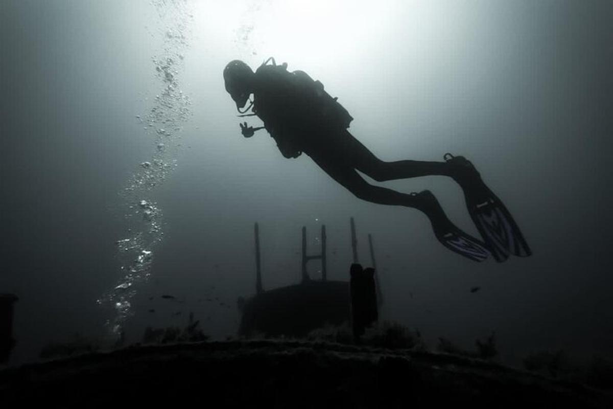 seseorang yang berenang di dalam air di lautan