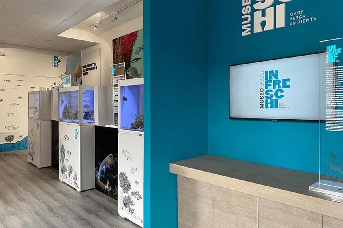 a room with a blue wall with a tv on the wall