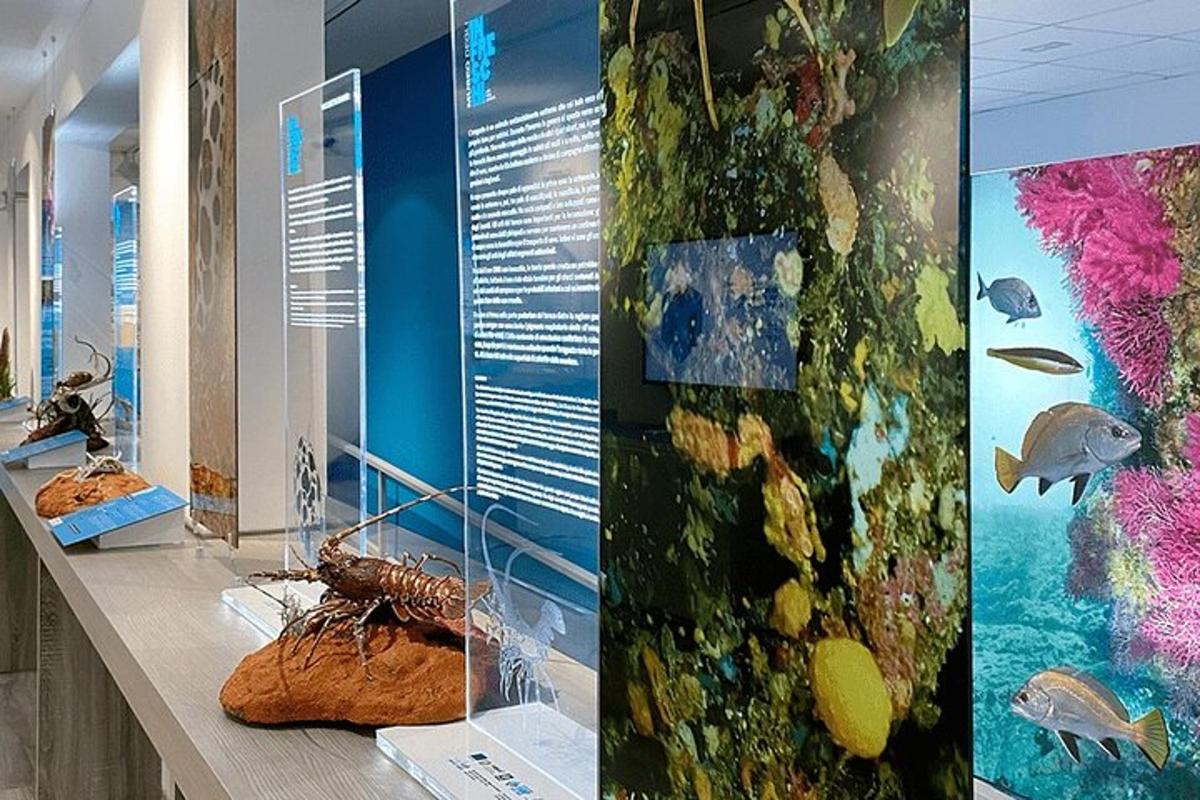 a display in a museum with a lobster on a counter
