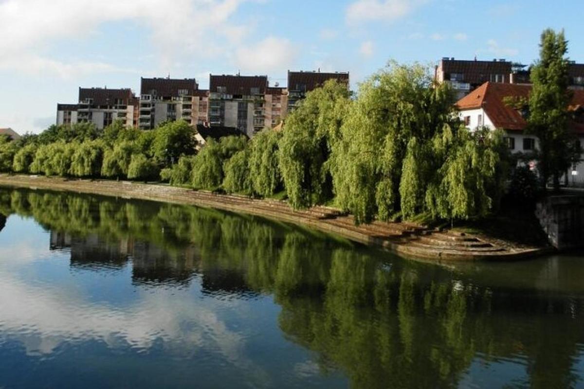un riu amb un munt d'arbres i edificis