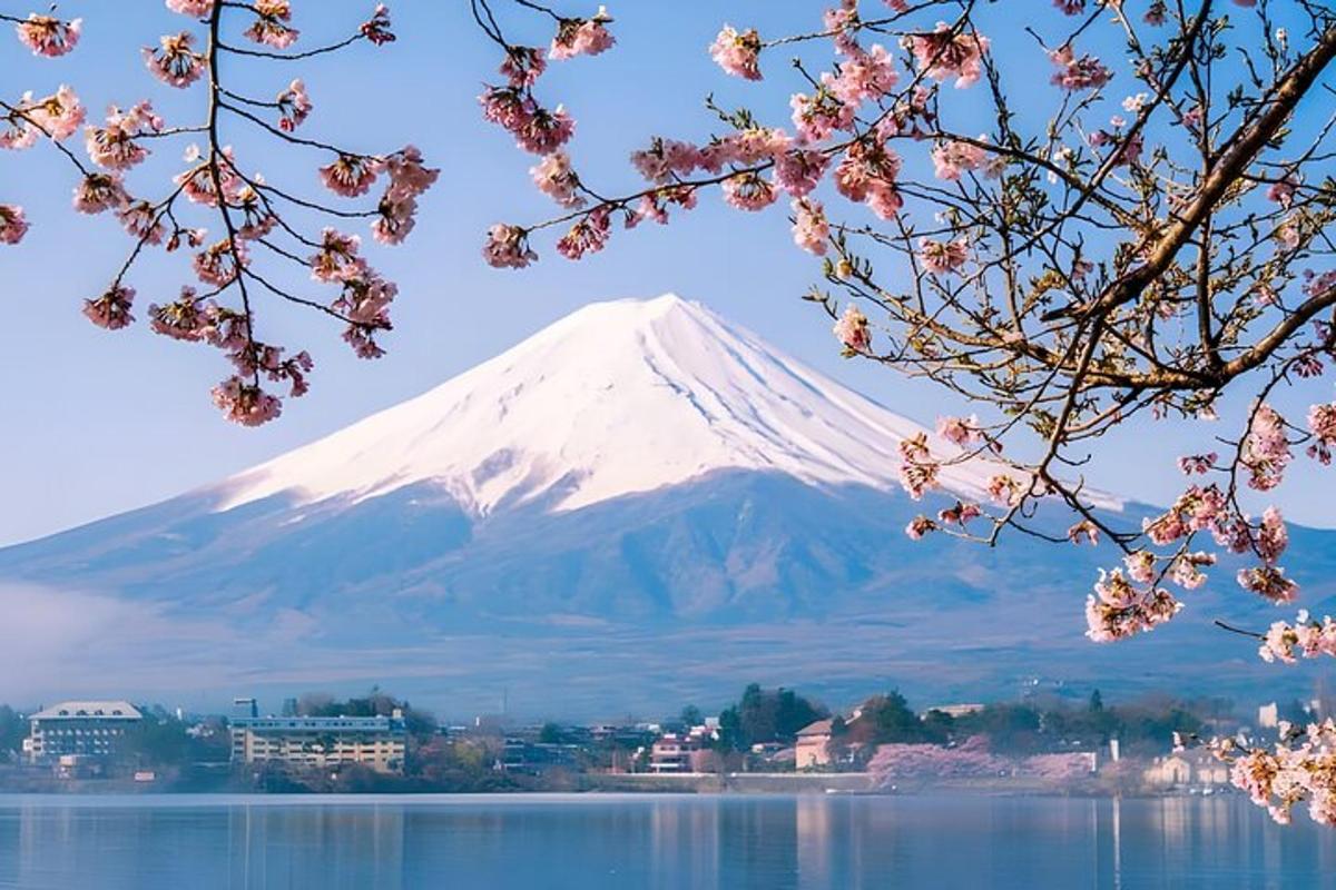 a mountain with a cherry tree in front of a lake