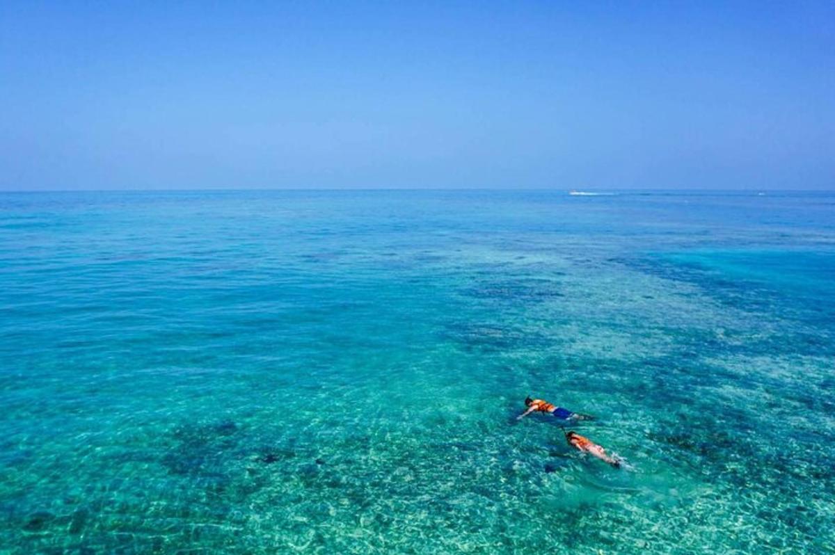 two people swimming in the clear blue ocean